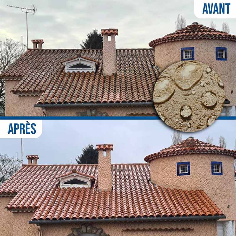 Nettoyage et démoussage toiture - PROHENRY COUVREUR : Artisan couvreur dans toute la Normandie et les Deux-Sèvre (79) : Nettoyage, démoussage toiture, traitement anti mousse et application d’une peinture résine hydrofuge colorée pour toit