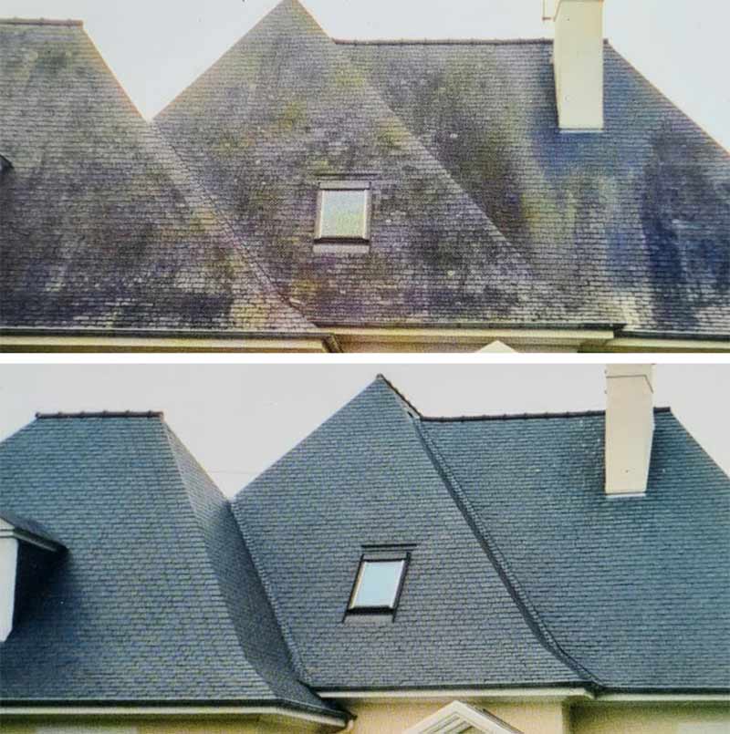 Nettoyage et démoussage toiture -  PROHENRY COUVREUR : Artisan couvreur dans toute la Normandie et les Deux-Sèvre (79) : Nettoyage, démoussage toiture, traitement anti mousse et application d’une peinture résine hydrofuge colorée pour toit 