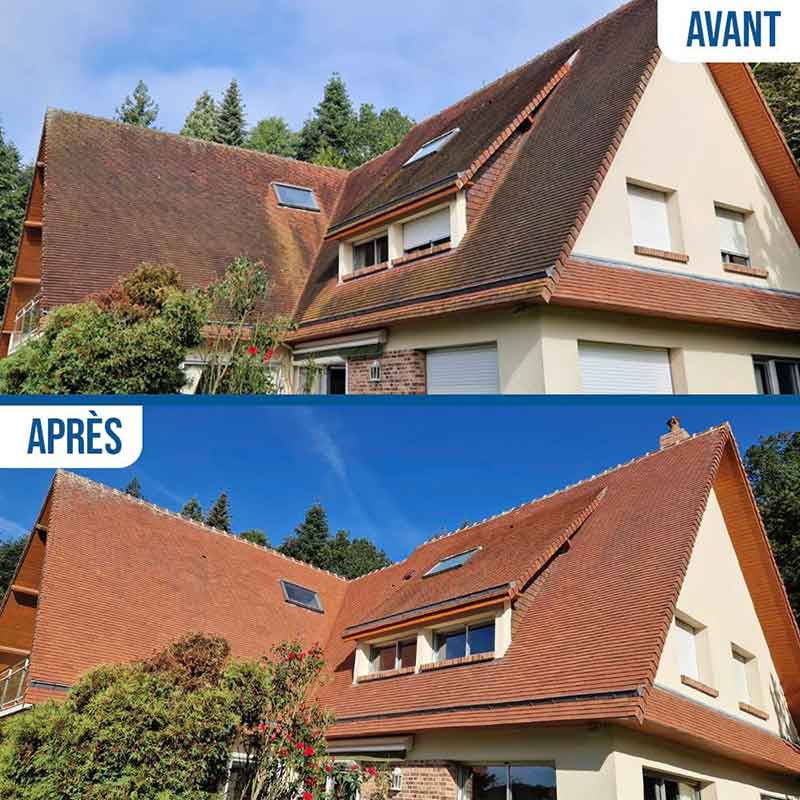 Nettoyage et démoussage toiture -  PROHENRY COUVREUR : Artisan couvreur dans toute la Normandie et les Deux-Sèvre (79) : Nettoyage, démoussage toiture, traitement anti mousse et application d’une peinture résine hydrofuge colorée pour toit 